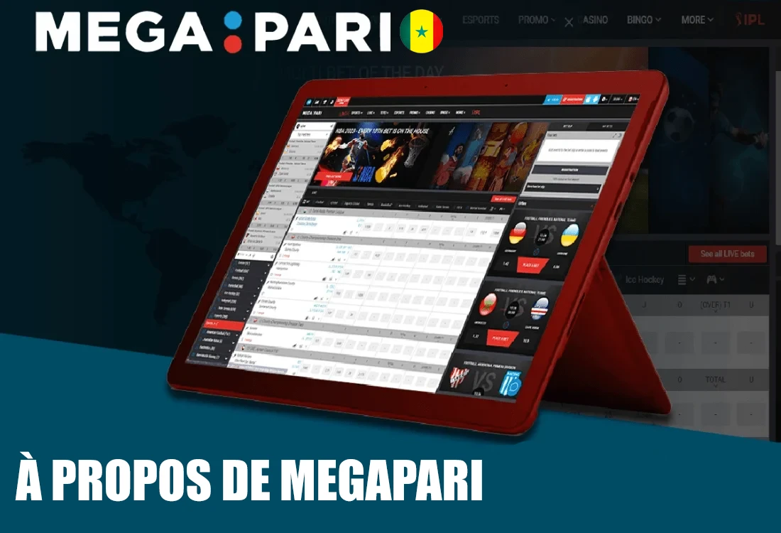À propos de Megapari